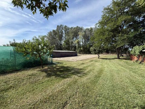 Eladó Telek 6050 Lajosmizse , 7700 m2-es terület,fúrt kút,villany, újjáépíthető 65 m2 ház