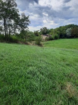 Eladó Mezőgazdasági 3033 Rózsaszentmárton 