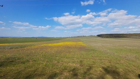 Eladó Telek 2151 Fót 