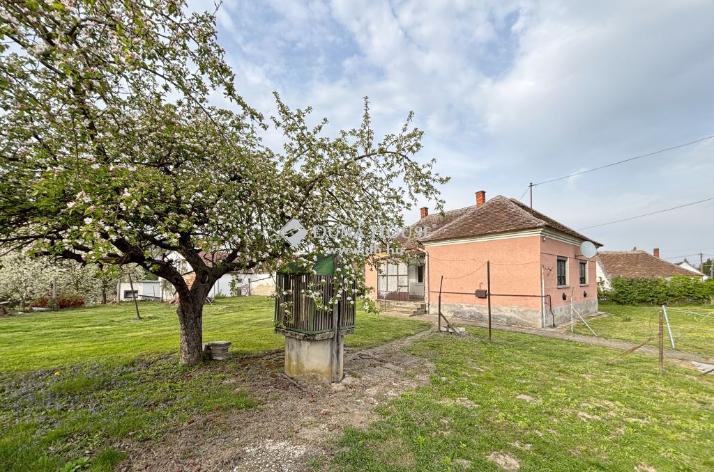 9763 Vasszécseny , 983 m2 jó adottságú telekkel ! — 1/16