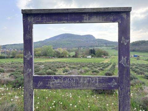 Eladó Telek 8258 Badacsonytomaj , Csángó