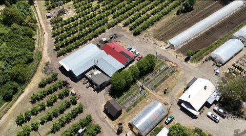 Eladó Mezőgazdasági 3630 Putnok , Putnok Fehér tanya 2