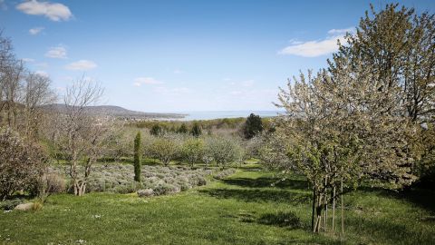 Eladó Ház 8256 Ábrahámhegy 