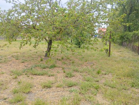 Eladó Telek 8000 Székesfehérvár , Maroshegyi, belterületi telek.