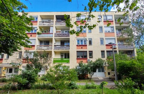 Kiadó Lakás 5600 Békéscsaba , Kazinczy lakótelepen