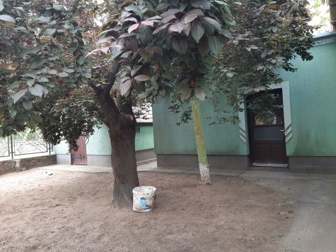 Eladó Ház 6041 Kerekegyháza Kecskemét határában