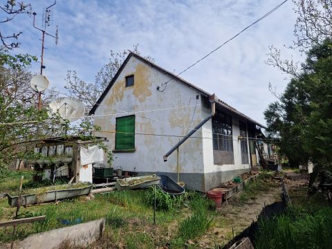 Eladó Ház 6500 Baja , 4. Körzetben tanya, gyümölcsös