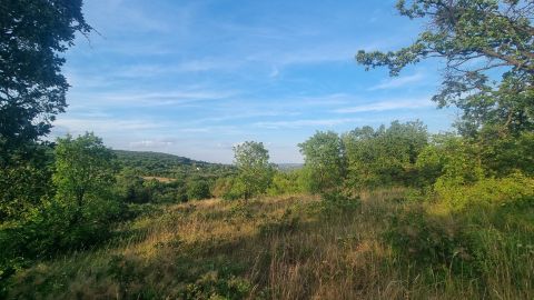 Eladó Telek 8220 Balatonalmádi Csendes utcában