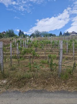 Eladó Telek 8096 Sukoró Panorámás telek a Présház utca alatt