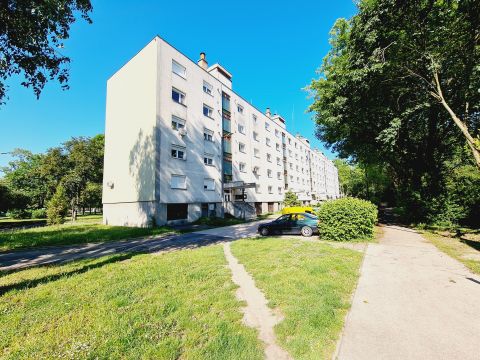 Kiadó Lakás 5600 Békéscsaba 