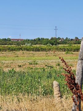 Eladó Telek 9400 Sopron 