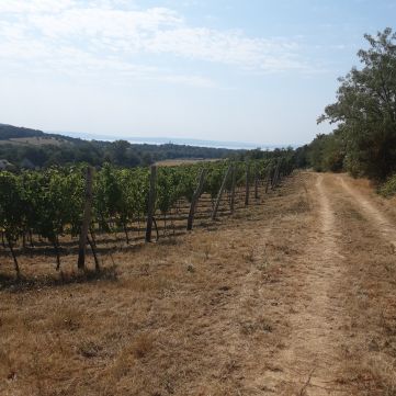 Eladó Telek 8272 Balatoncsicsó 
