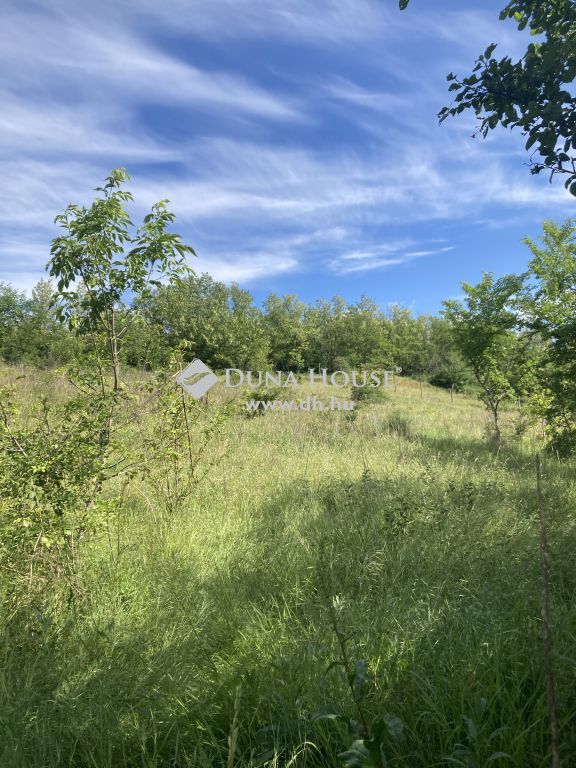 8613 Balatonendréd , Csend, természet - saját birtok a Balatontól alig pár percre — 1/4