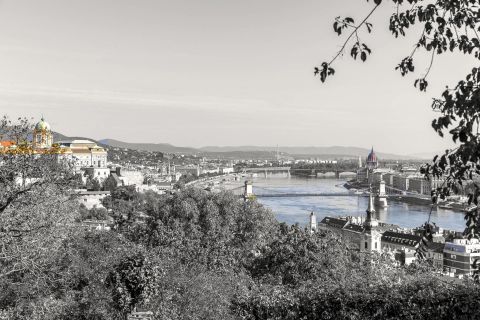 Eladó Lakás 1016 Budapest 1. kerület 
