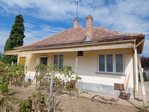 Eladó Ház 6525 Hercegszántó 
